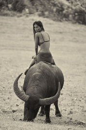 WILD INTENTIONS