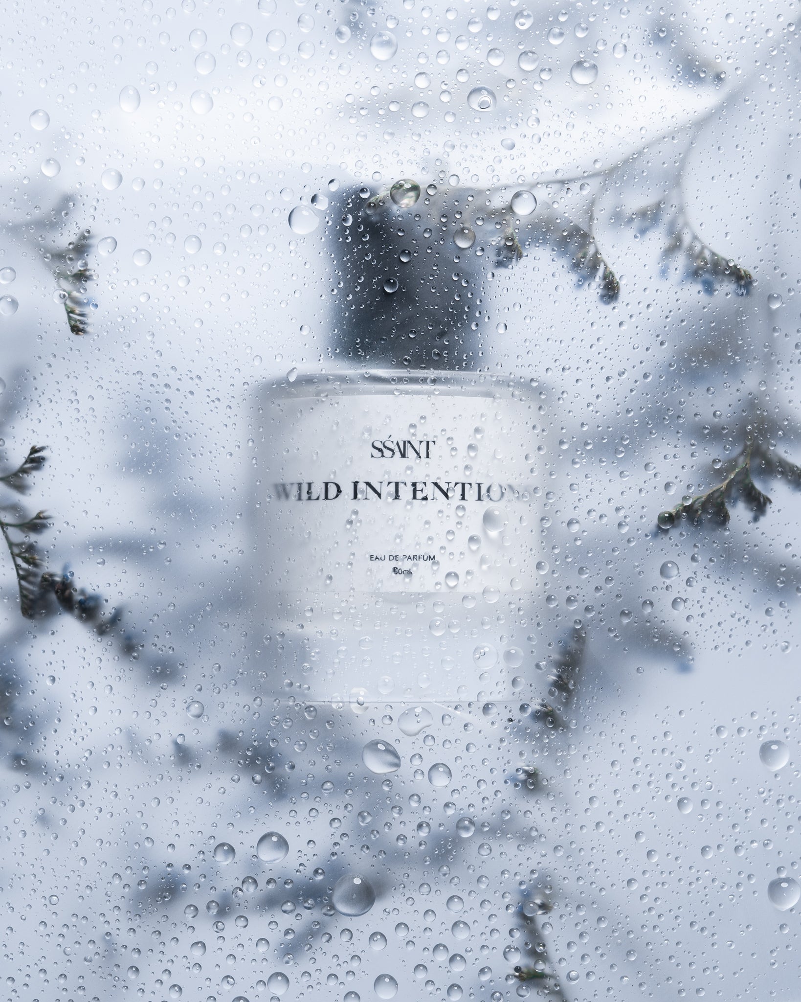 WILD INTENTIONS
